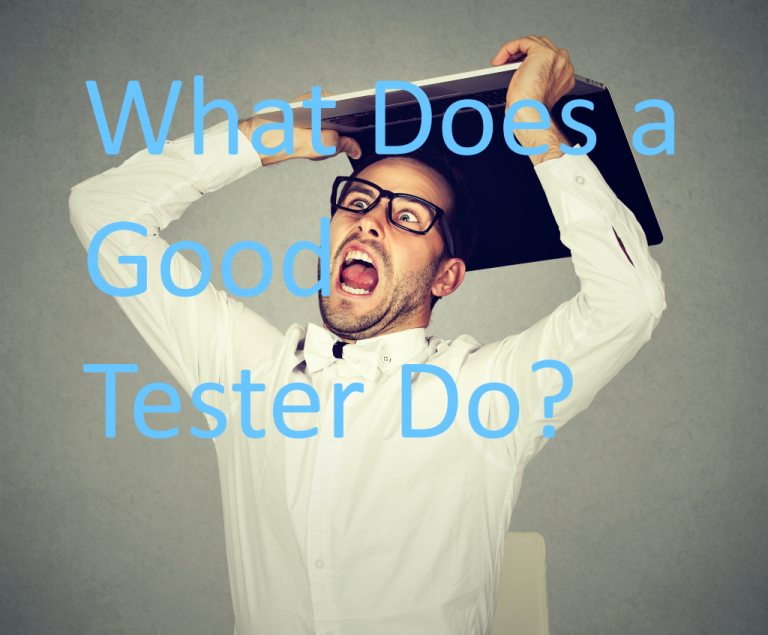 What Does a Good Tester Do? Developer Testing